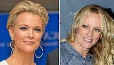 Megyn Kelly Mocks Stormy Daniels for Claiming She 'Blacked Out' During Alleged Donald Trump Affair: 'It's B-------'