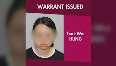 抓到了！台灣背包客縱火燒車被通緝 澳警公布照片秒被認出