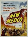 New Mexico (film)