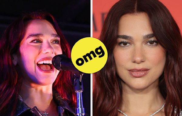 Dua Lipa Says The "Go Girl Give Us Nothing" Meme Was "Humiliating"