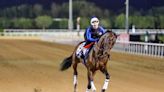 Dubai World Cup: Super Corinto, el caballo de las tres banderas que corta una larga ausencia argentina en la carrera de los 12 millones de dólares