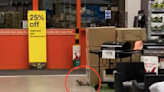 Squirrel breaks into B&Q and steals bird food and nuts