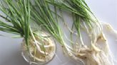 The Difference Between Green Garlic And Garlic Scapes