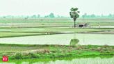 Centre pushes for mandatory floodplain zoning law as only 4 states comply - The Economic Times