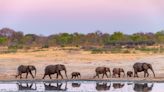 Zimbabue y Botsuana: los mejores parques nacionales que no puedes perderte