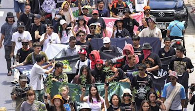 Cannabis advocates in Thailand protest a proposal to ban again its general use
