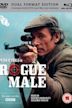 Rogue Male (1976 film)