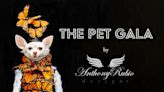 ‘The Pet Gala’ Designer Explains Designer Inspirations