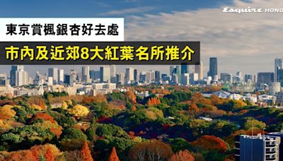 東京紅葉銀杏2024｜東京市內及近郊紅葉＋銀杏8大名所攻略 地址＋交通方法