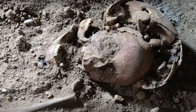 Encuentran esqueletos humanos afuera de la casa de un jerarca nazi: cómo era la Guarida del Lobo