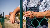 How Much Does Fence Repair Cost?