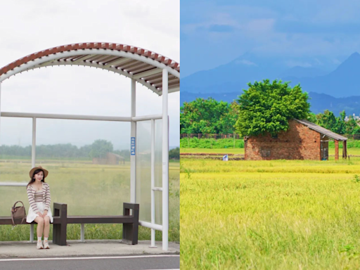 彰化版伯朗大道！最美公車站同框紅磚古厝、金黃稻田成人氣景點 - 玩咖Playing - 自由電子報