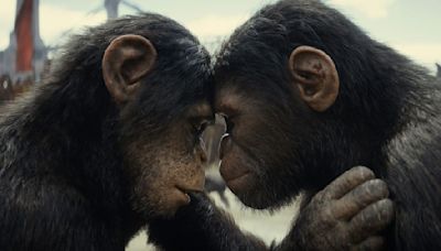 Kingdom of the Planet of the Apes: a solid summer blockbuster