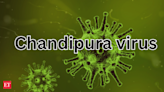 Deadly Chandipura Virus reaches Rajasthan after cases rise to 51 in Gujarat; Here's what you need to know - The Economic Times