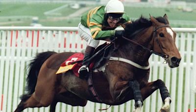 Iconic racehorse Istabraq dies at home of owner JP McManus