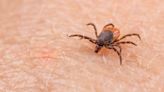 What You Need to Know About the New Tick-Borne Disease Emerging This Summer