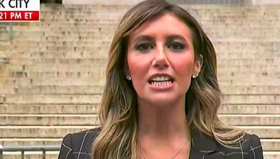 Alina Habba reappears in Trump courtroom — as Fox News questions absence of family members