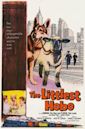 The Littlest Hobo (film)