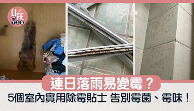 潮濕｜連日落雨易變霉？ 5個室內除霉實用貼士 告別霉菌、霉味！ | am730