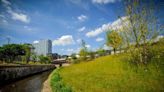 Manchester's first park in 100 years is officially 'world class'