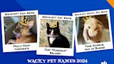 New York pet ‘Thor Odinbun, God of Bunder’ wins Nationwide’s ‘Wacky Pet Names’ contest