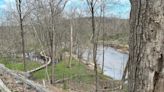 Migrating Birds Attract Visitors To Connecticut Audubon Center