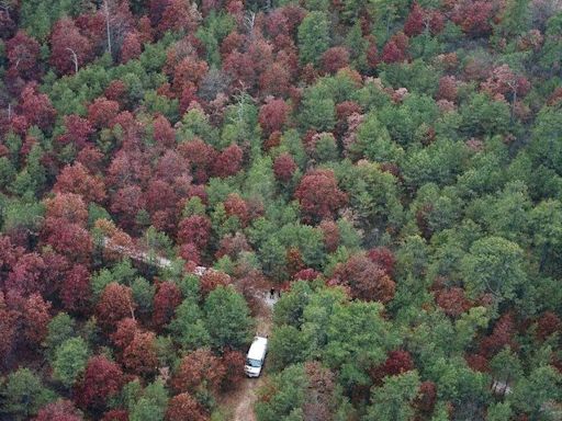 Gilgo Beach Murder Investigation Leads to New Search of Wooded Area in Long Island