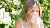 Low-pollen plants for your home and garden that are perfect for hay fever sufferers