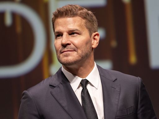 David Boreanaz Teases Plan to Extend His 27-Year Employment Streak After SEAL Team Ends