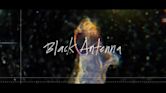 Alice in Chains: Black Antenna