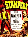 Stampede (1949 film)