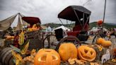 Norte de México festeja Halloween y Día de Muertos con Festival de la Tierra y la Cosecha