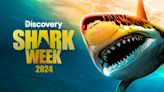 Top 10 Shark Week 2024 Specials to Stream on Max