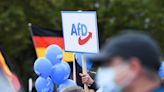 Germany's far-right AfD seeking to overturn extremist designation in court