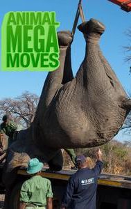 Animal Mega Moves