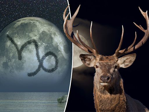 July 2024’s Full Buck Moon in Capricorn will illuminate your limitations