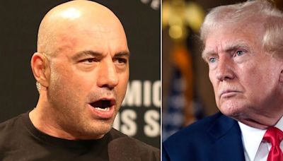 Donald Trump Suggests UFC Fans Will Turn On Joe Rogan For Praising RFK Jr.