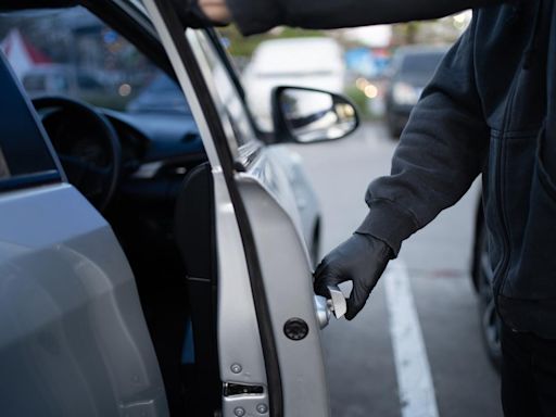 'I'm an ex-police officer': This is how you can stop thieves stealing your car