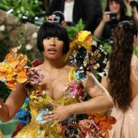 US rapper Nicki Minaj freed after Netherlands arrest: media