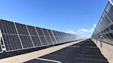 Con una inversión de 170 millones de dólares: así será el nuevo parque solar en Mendoza