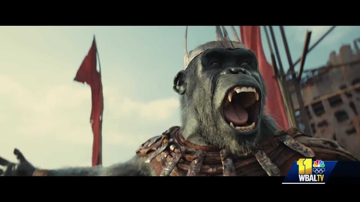 DC Film Girl interviews 'Kingdom of the Planet of the Apes' cast