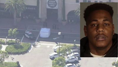 Fashion Island Newport Beach murder suspect was out on probation for 2022 Santa Monica incident