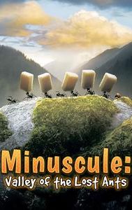 Minuscule: Valley of the Lost Ants