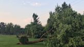Boise thunderstorms have left behind downed trees, branches, sticks. Who cleans them up?
