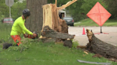 Residents begin cleaning up after tornado rips through Kaukauna