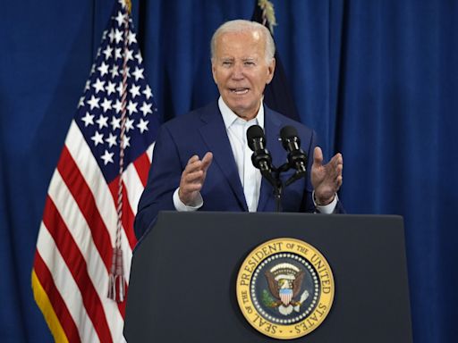 As Biden appeals for unity, he is called out for his 'Blue Anon' problem