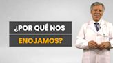 ¿Por qué nos enojamos? Cuatro reglas para volver a la calma