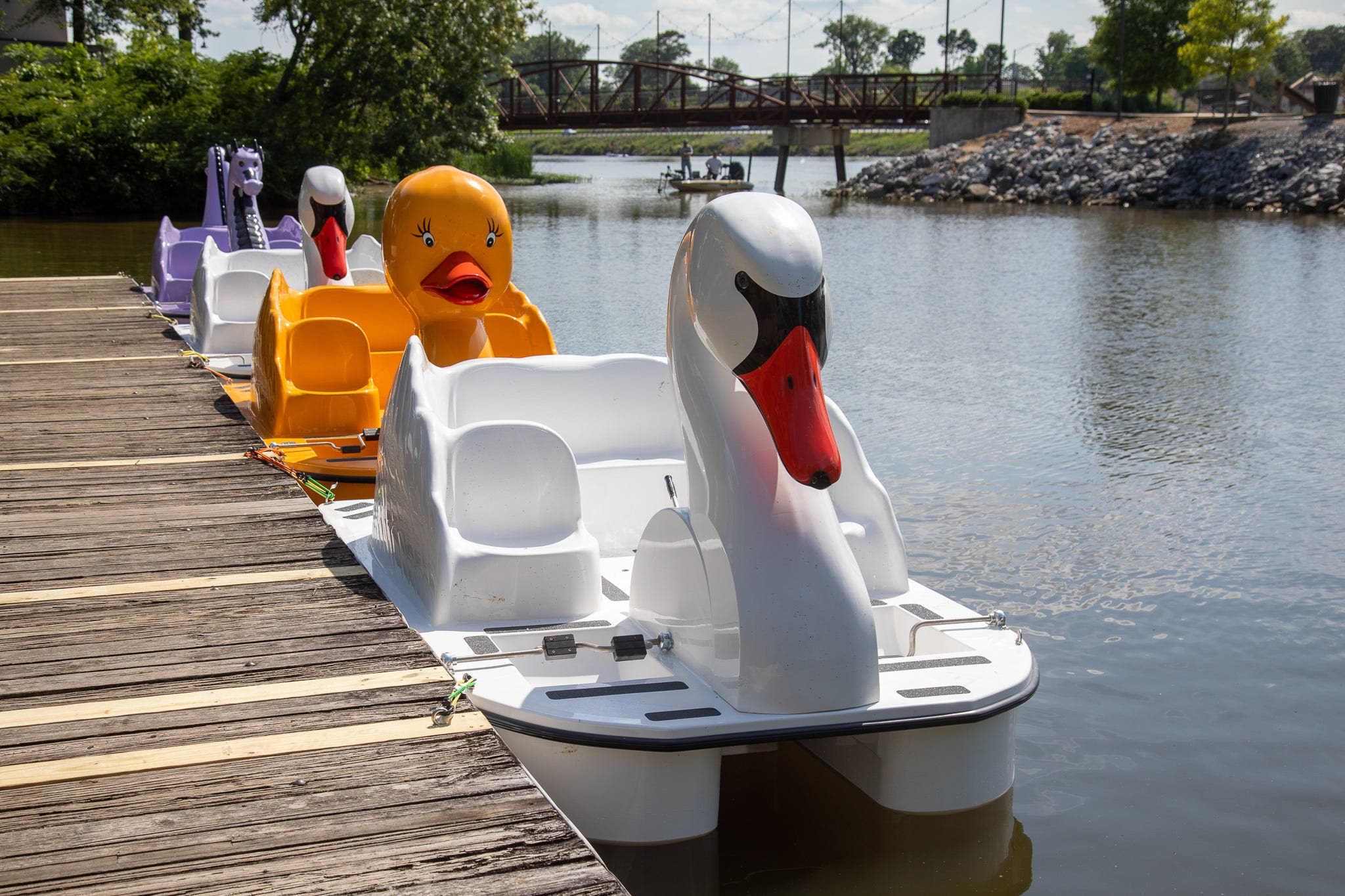 Four pedal boats available for rides on the Coosa River this summer