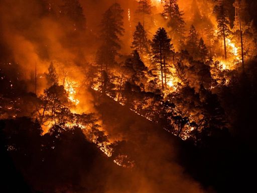 Ex-professor sentenced for setting at least 7 fires during record California wildfire season