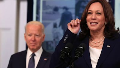 David Plouffe: Kamala Harris has to introduce herself to the nation